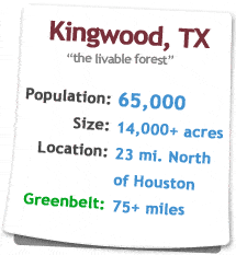 Website Design Kingwood Texas
