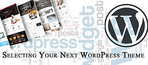 Selecting Your Next WordPress Theme