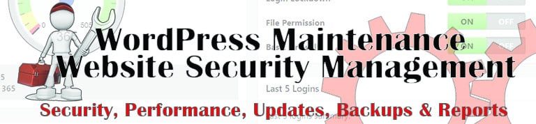 Website Security WordPress Management